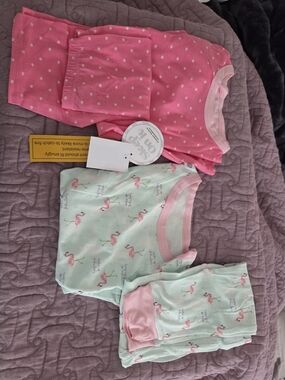 Girls' Flamingo Print Pink & Mint Pajama Set - Soft Sleepwear
